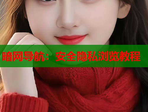 暗网导航：安全隐私浏览教程  第1张