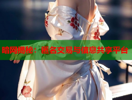 暗网揭秘：匿名交易与信息共享平台  第2张