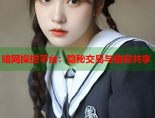 暗网操控平台：隐秘交易与信息共享  第2张