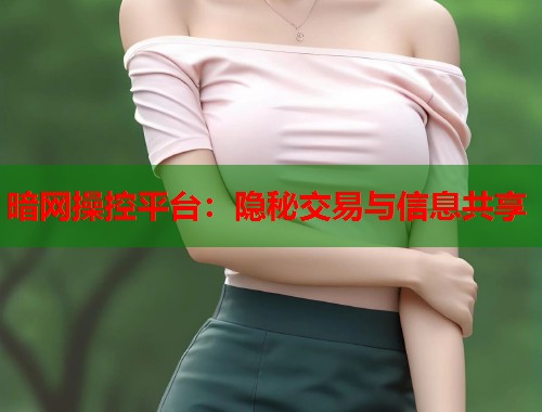 暗网操控平台：隐秘交易与信息共享  第1张
