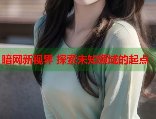 暗网新视界 探索未知领域的起点  第1张