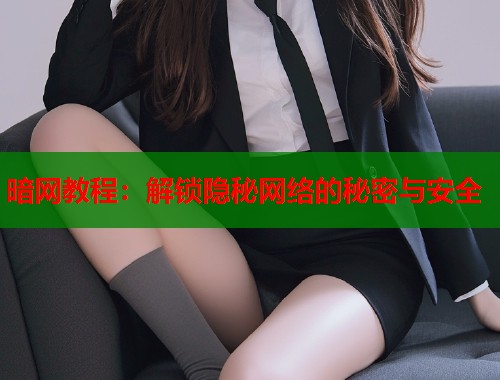 暗网教程：解锁隐秘网络的秘密与安全  第2张