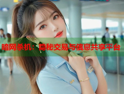 暗网杀机：隐秘交易与信息共享平台  第1张