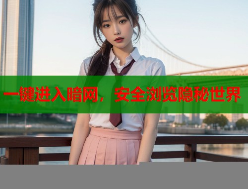 一键进入暗网，安全浏览隐秘世界  第1张