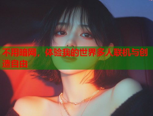 不用暗网，体验我的世界多人联机与创造自由  第1张