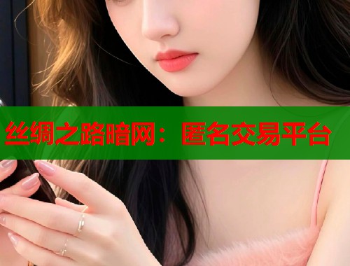 丝绸之路暗网：匿名交易平台  第1张