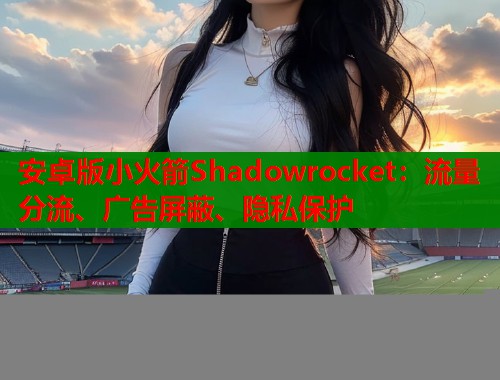 安卓版小火箭Shadowrocket：流量分流、广告屏蔽、隐私保护
