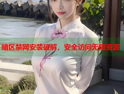 暗区禁网安装破解，安全访问无限资源  第2张