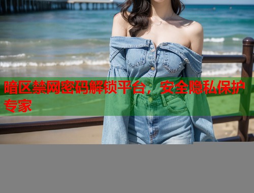 暗区禁网密码解锁平台，安全隐私保护专家  第1张