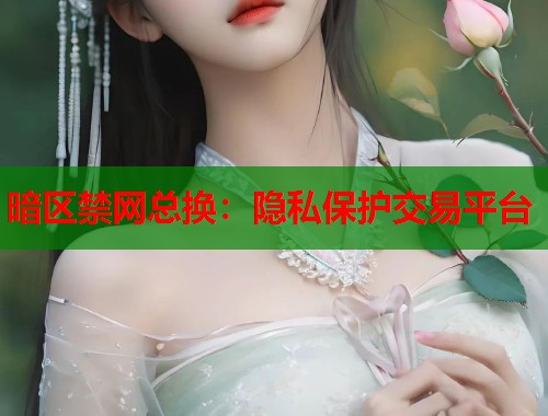 暗区禁网总换：隐私保护交易平台  第1张
