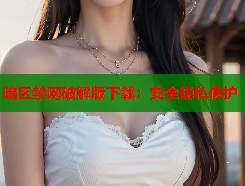 暗区禁网破解版下载：安全隐私保护  第1张
