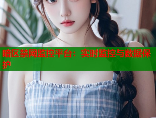 暗区禁网监控平台：实时监控与数据保护  第1张