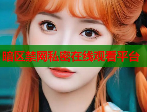 暗区禁网私密在线观看平台  第2张