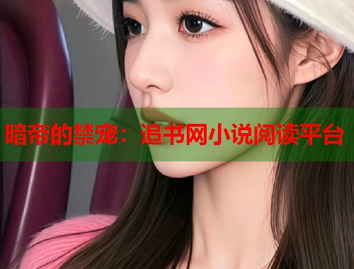 暗帝的禁宠：追书网小说阅读平台