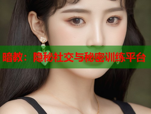 暗教：隐秘社交与秘密训练平台  第1张
