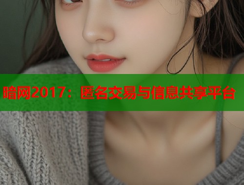 暗网2017：匿名交易与信息共享平台