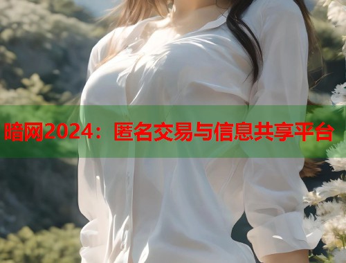 暗网2024：匿名交易与信息共享平台