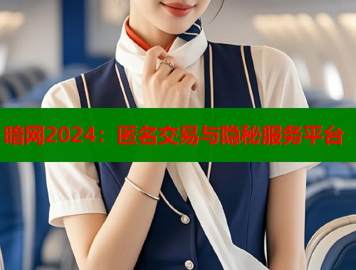 暗网2024：匿名交易与隐秘服务平台  第2张