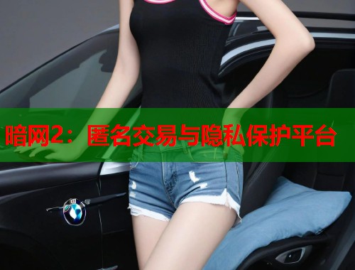 暗网2：匿名交易与隐私保护平台  第2张