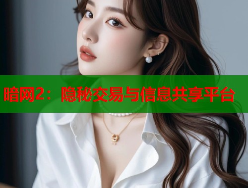暗网2：隐秘交易与信息共享平台  第1张