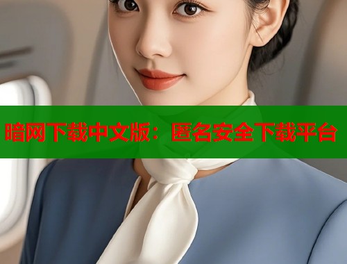 暗网下载中文版：匿名安全下载平台  第1张