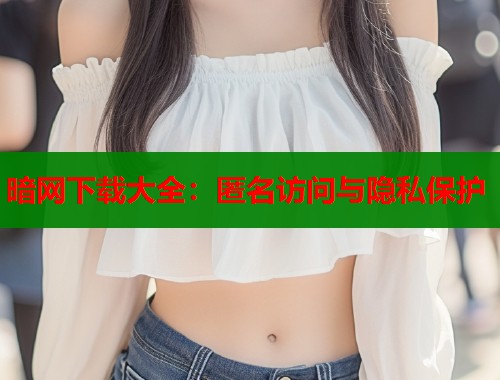 暗网下载大全：匿名访问与隐私保护  第1张