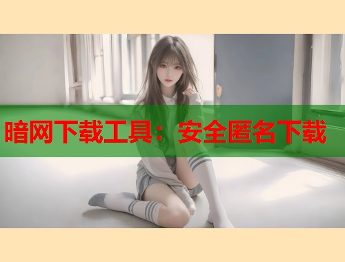 暗网下载工具：安全匿名下载