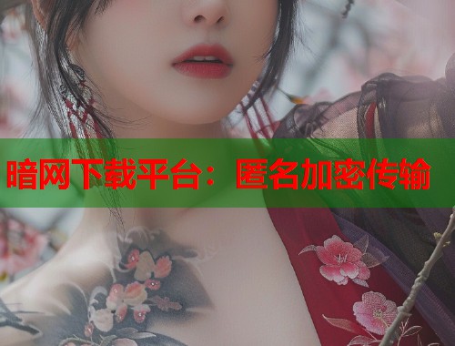 暗网下载平台：匿名加密传输