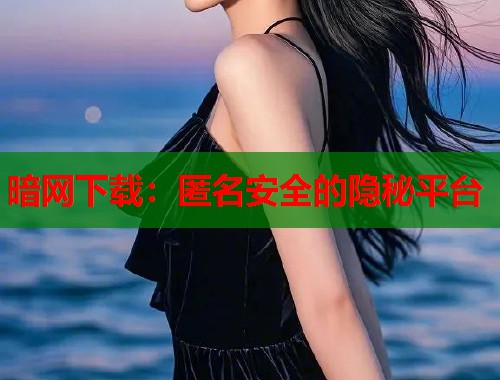 暗网下载：匿名安全的隐秘平台  第2张