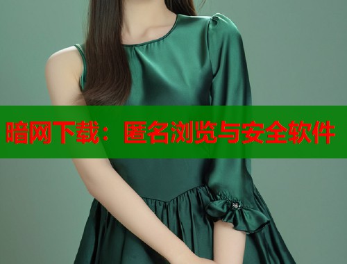 暗网下载：匿名浏览与安全软件