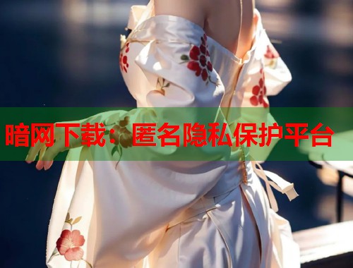 暗网下载：匿名隐私保护平台
