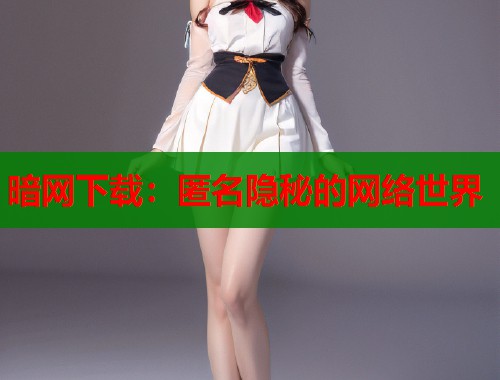 暗网下载：匿名隐秘的网络世界