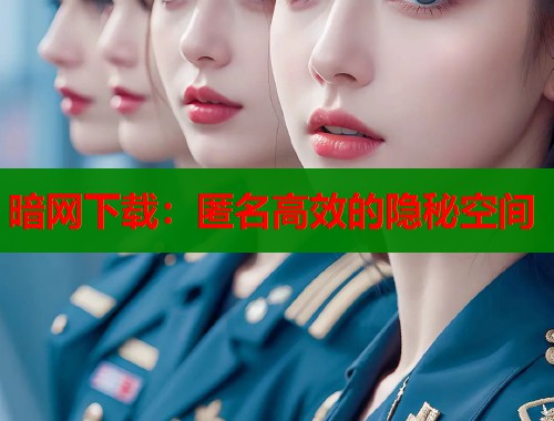 暗网下载：匿名高效的隐秘空间  第1张