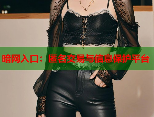 暗网入口：匿名交易与信息保护平台  第1张