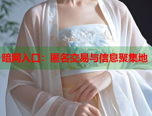 暗网入口：匿名交易与信息聚集地  第1张