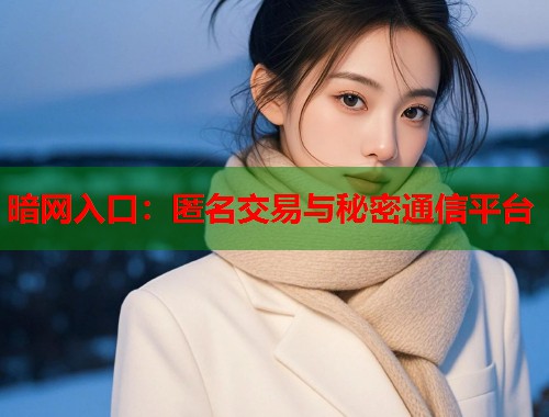 暗网入口：匿名交易与秘密通信平台