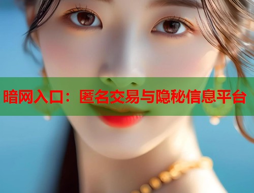 暗网入口：匿名交易与隐秘信息平台  第1张