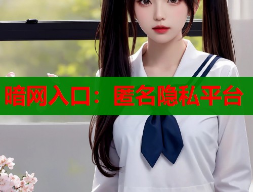 暗网入口：匿名隐私平台