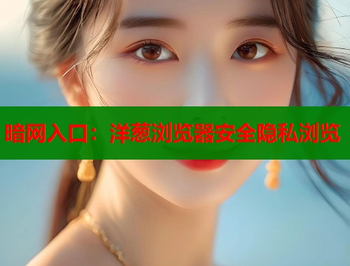 暗网入口：洋葱浏览器安全隐私浏览  第1张