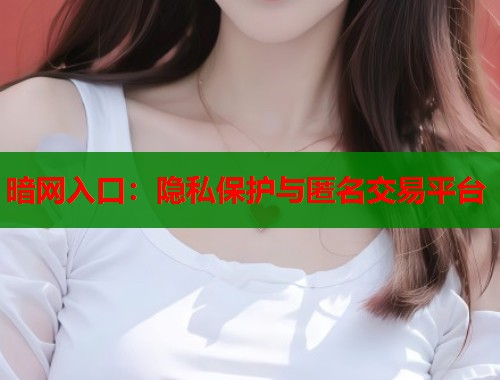 暗网入口：隐私保护与匿名交易平台  第1张