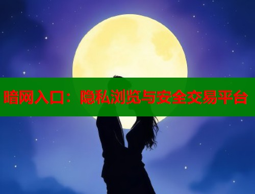 暗网入口：隐私浏览与安全交易平台  第1张