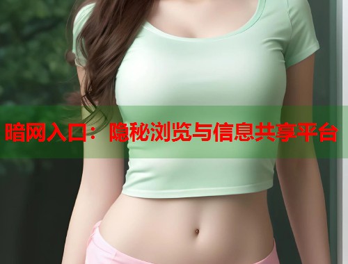 暗网入口：隐秘浏览与信息共享平台  第1张