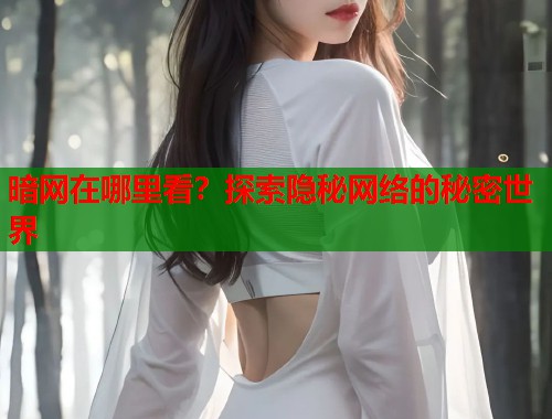 暗网在哪里看？探索隐秘网络的秘密世界  第1张