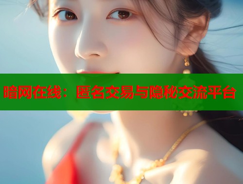 暗网在线：匿名交易与隐秘交流平台  第1张
