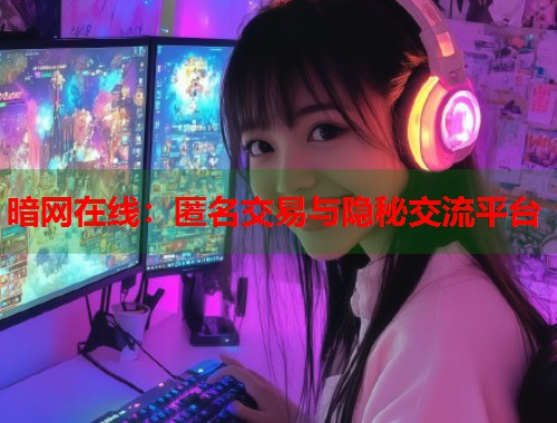 暗网在线：匿名交易与隐秘交流平台  第2张