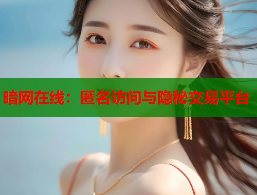 暗网在线：匿名访问与隐秘交易平台  第1张