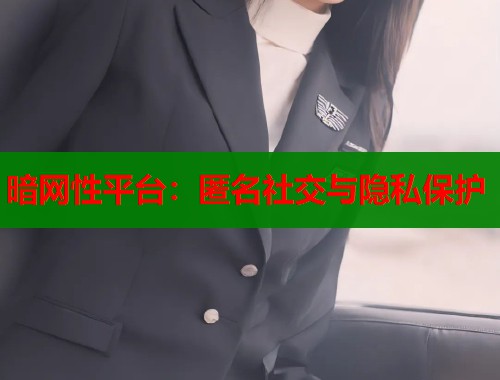 暗网性平台：匿名社交与隐私保护  第2张