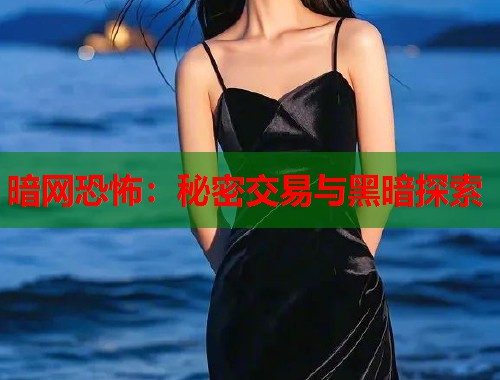 暗网恐怖：秘密交易与黑暗探索  第1张