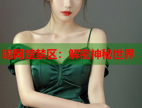 暗网楚禁区：解密神秘世界
