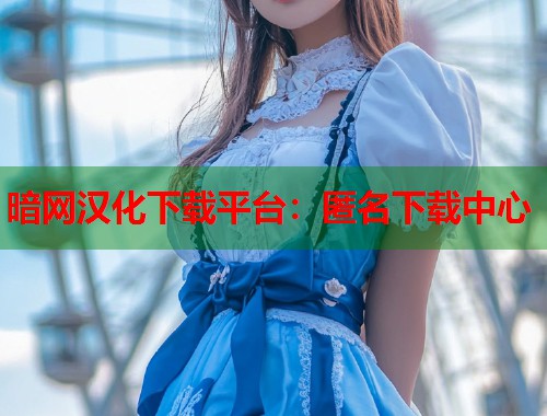 暗网汉化下载平台：匿名下载中心